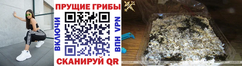 закладка  Куса  Галлюциногенные грибы MAGIC MUSHROOMS 
